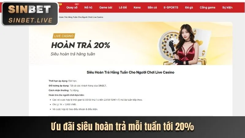 Cấp độ VIP Bạch Kim Hbet Login