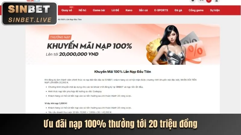 Cấp độ VIP Vàng Hbet Login